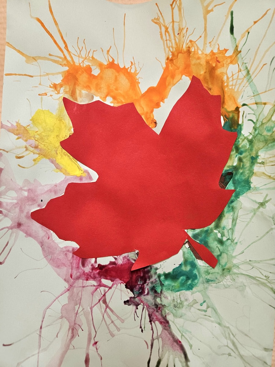Bild 5